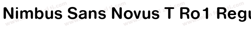 Nimbus Sans Novus T Ro1 Regular Ita字体转换
